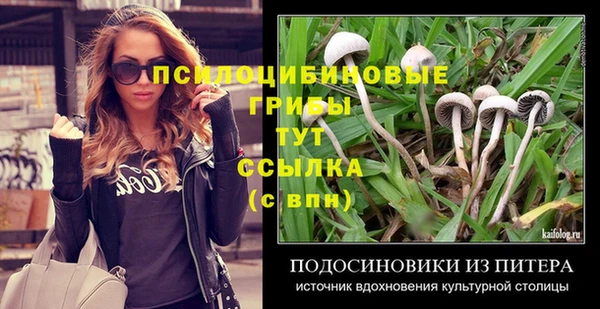 2c-b Балахна