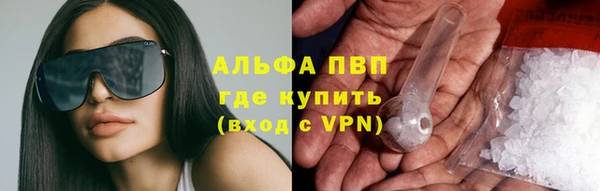 ГАЛЛЮЦИНОГЕННЫЕ ГРИБЫ Баксан