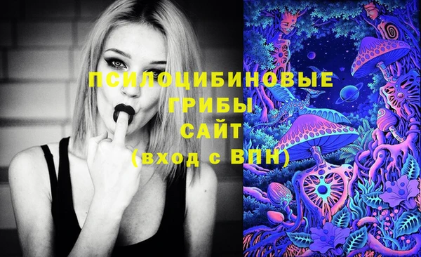 ГАЛЛЮЦИНОГЕННЫЕ ГРИБЫ Баксан