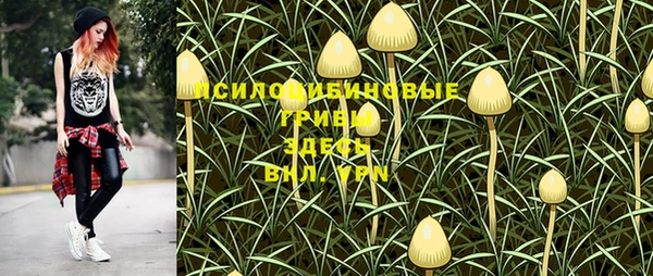 2c-b Балахна