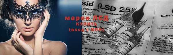 ГАЛЛЮЦИНОГЕННЫЕ ГРИБЫ Баксан