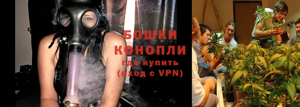 ГАЛЛЮЦИНОГЕННЫЕ ГРИБЫ Баксан