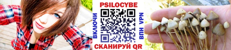 Галлюциногенные грибы Magic Shrooms  наркошоп  Куровское 